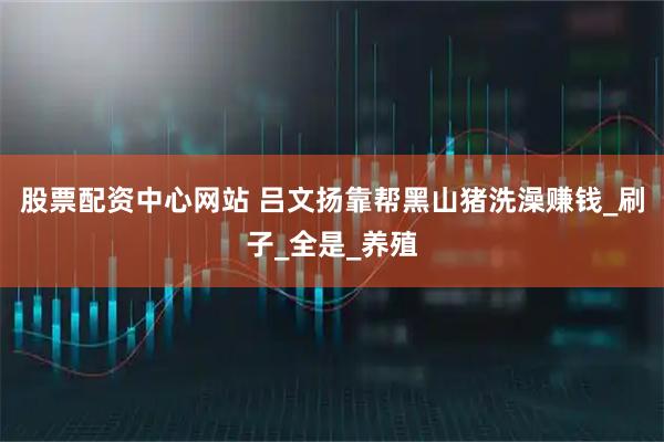 股票配资中心网站 吕文扬靠帮黑山猪洗澡赚钱_刷子_全是_养殖