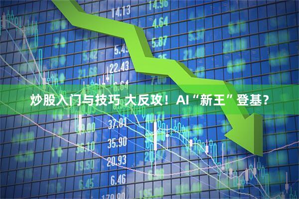 炒股入门与技巧 大反攻！AI“新王”登基？