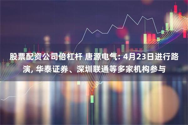 股票配资公司倍杠杆 唐源电气: 4月23日进行路演, 华泰证券、深圳联通等多家机构参与